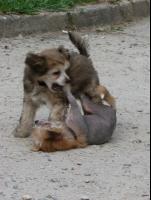 obrzek: tn_24_sezeru_te_uz_si_na_te_delam_chute.jpg; rozlien: 151  200 px; velikost 6 kB;